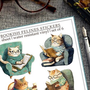 May include: A sheet of six water-resistant vinyl stickers featuring cats wearing glasses and reading books. The stickers are illustrated in a cartoon style with a whimsical and colorful design. "Bookish Felines Stickers" and "1 sheet | water resistant vinyl | set of 6" are printed on the sheet.