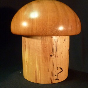 Mushroom Box