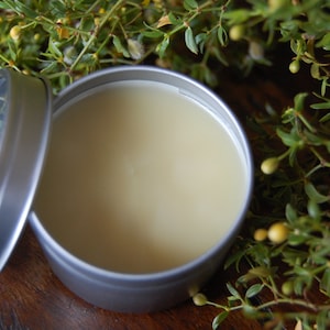 Desert Creosote Salve....Desert Rain FREE SHIPPING