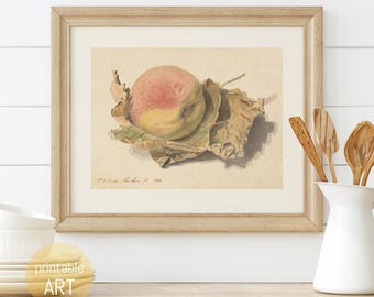 Illustration eines Pfirsichs | druckbare Wandkunst | Poster | digitaler Download