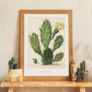Illustration of a blooming Cactus | Poster | printable Art | digital Download