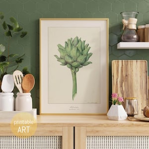 Illustration of an Artichoke in natural Colors | Poster | printable Art | digital Download