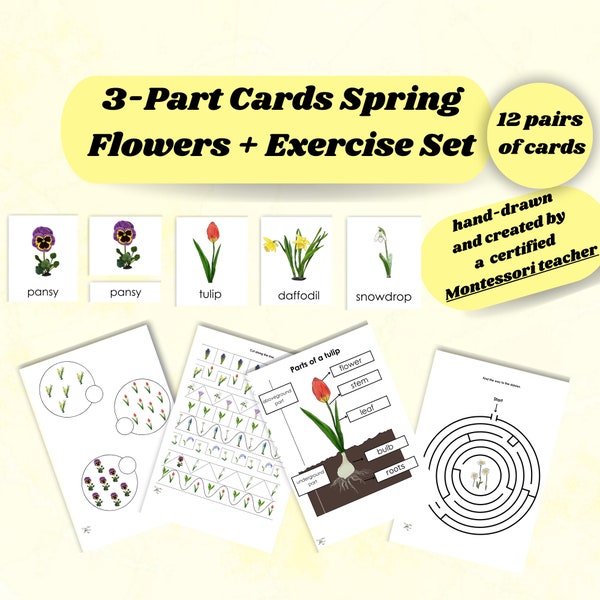 SPRING FLOWERS, Montessori Printable Cards, Three Part Cards, Nomenclature Cards, Flash Cards, Preschool Worksheet Set