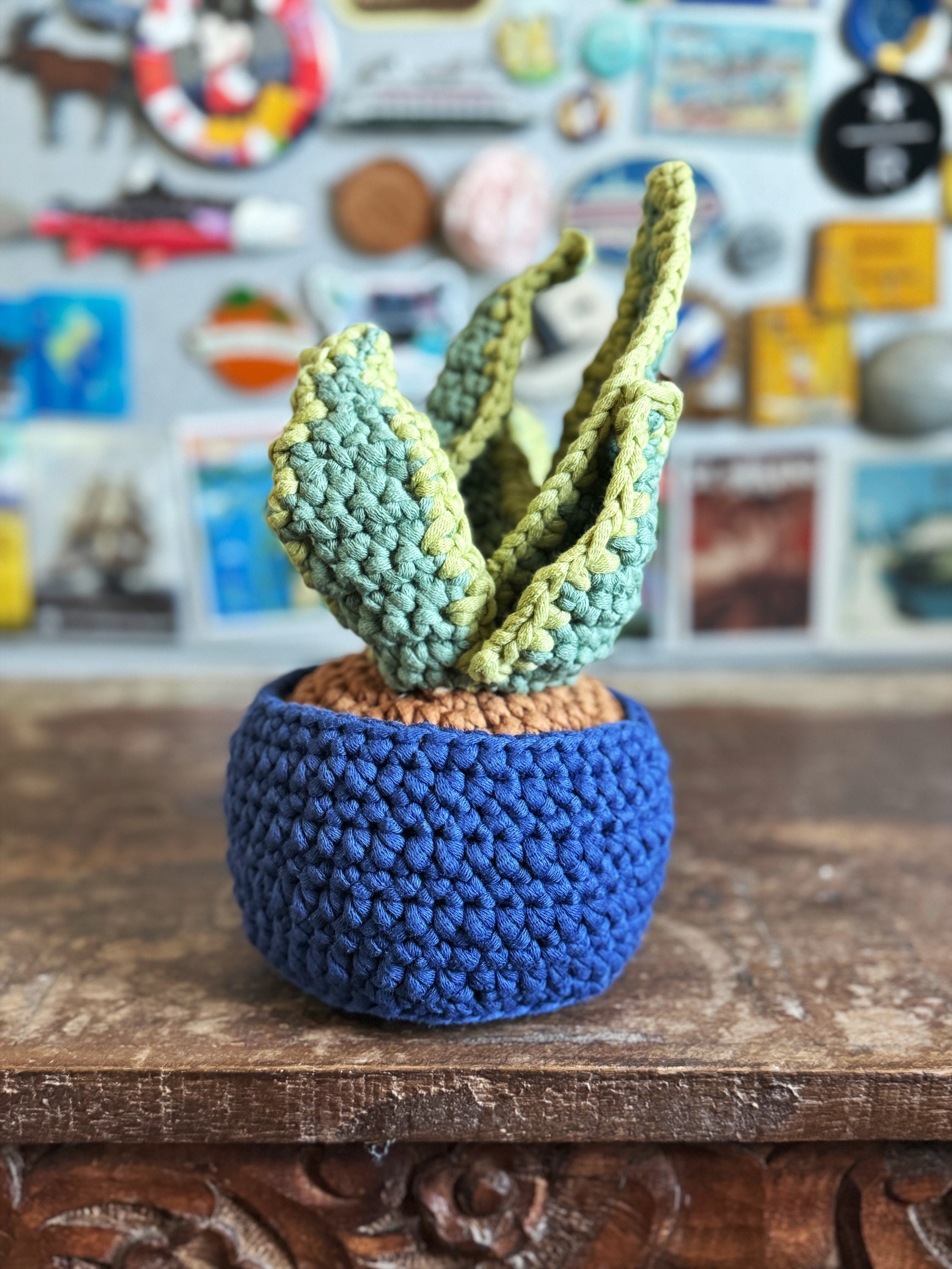Crocheted Snake Plant - Cotton Amigurumi Crochet - Etsy