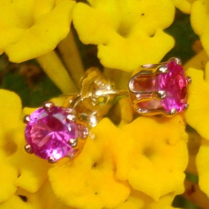 Earrings Pink Sapphire 4mm posts studs eco-friendly reclaimed/recycled 14k gold filled and lab grown sapphires image 1