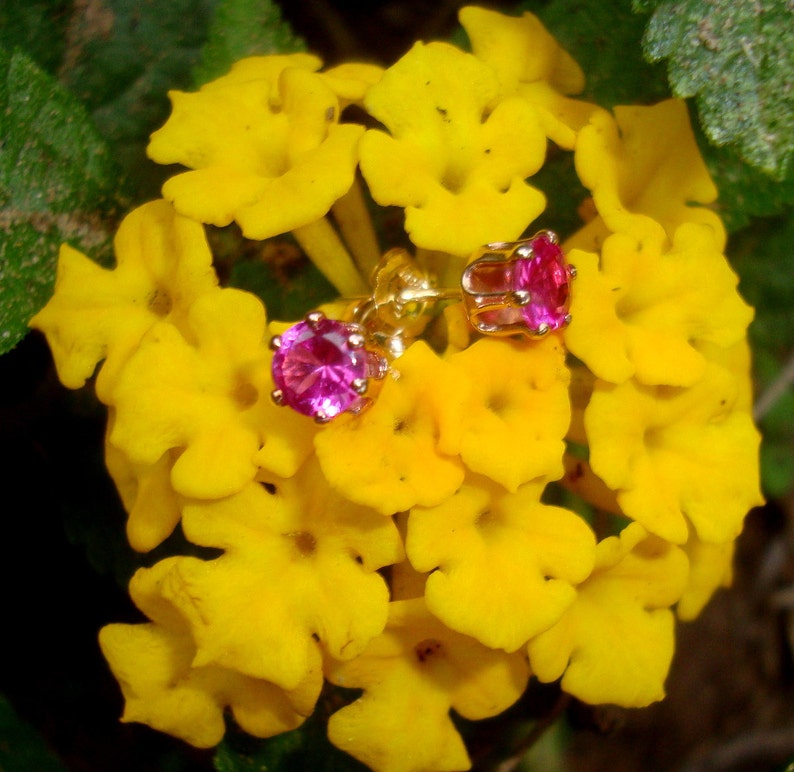 Earrings Pink Sapphire 4mm posts studs eco-friendly reclaimed/recycled 14k gold filled and lab grown sapphires image 5