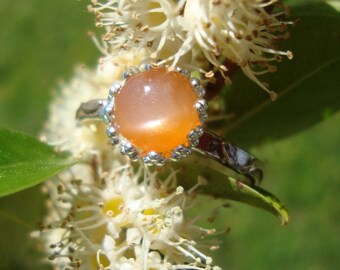 Just Peachy Moonstone Ring in  eco-friendly sterling silver and rose gold - custom made in your size