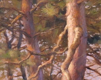 Pines in the Evening, landscape oil painting, direct from artist