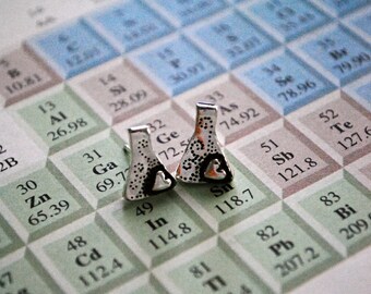 Erlenmeyer Flask Earrings Studs