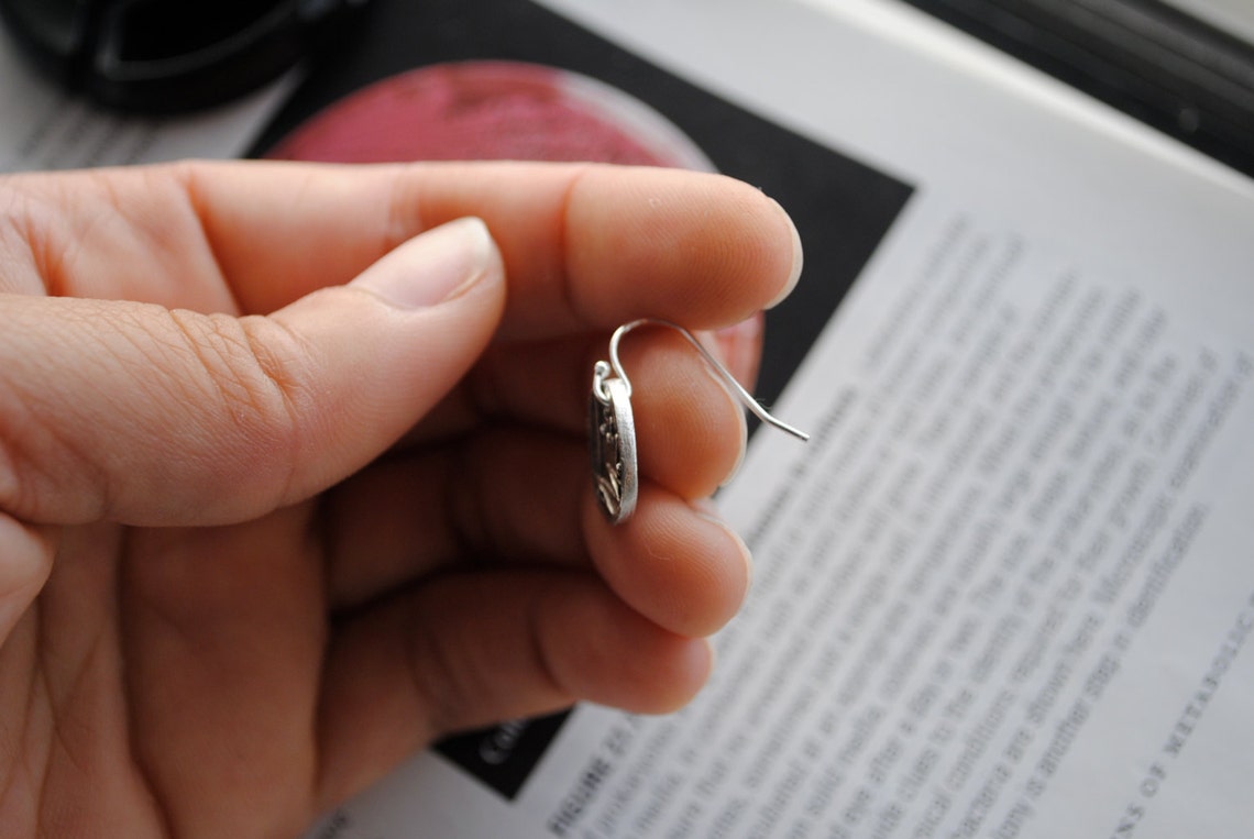 Petri Dish Earrings Etsy