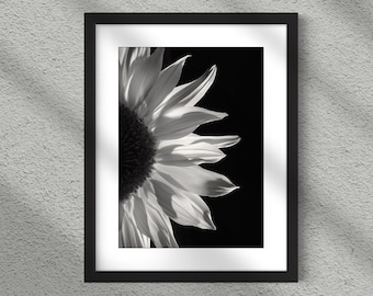 Sunflower Print Instant Download, Sunflower Wall Art, Flower Lover Gift Idea, Flower Close Up Photo, Digital Wall Art