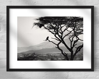 Bird in a Tree - Digital Download Photograph