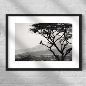 Bird in a Tree - Digital Download Photograph