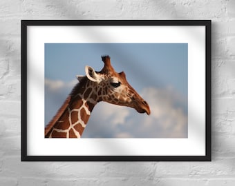 Giraffe Portrait - Digital Download Print