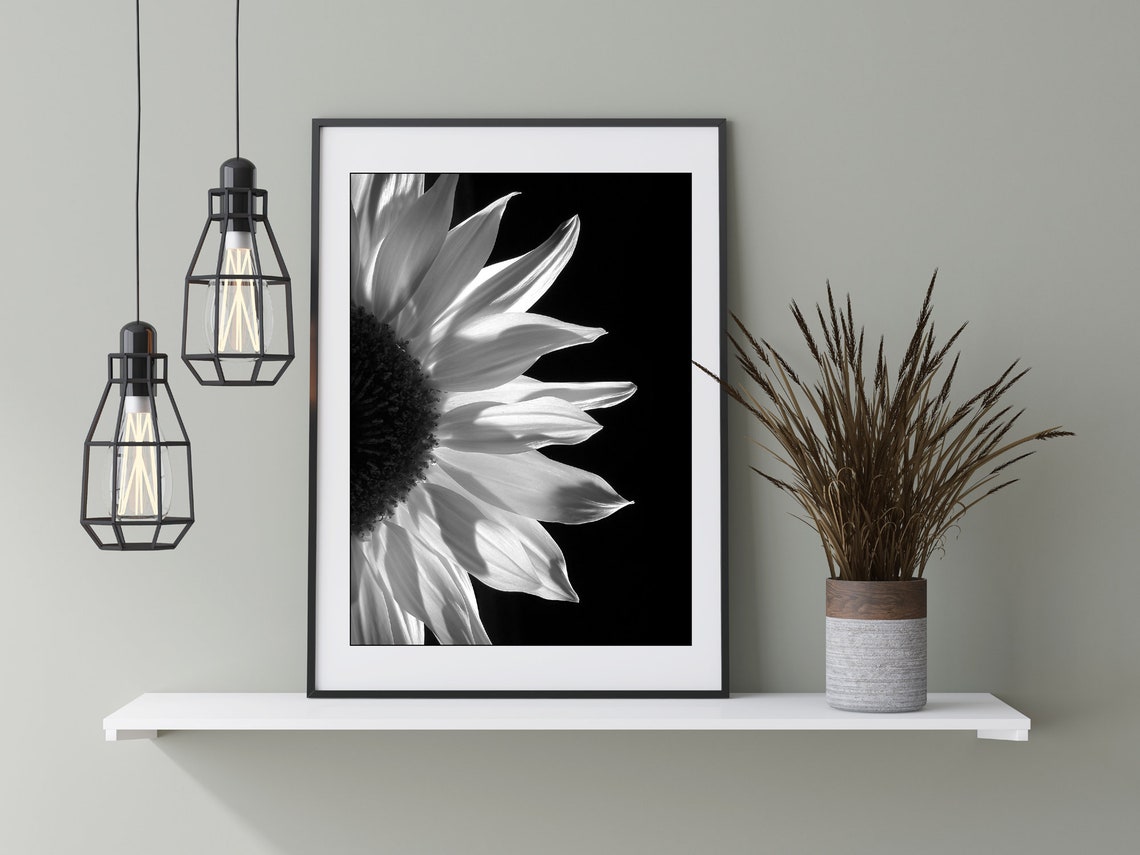 Black & White Sunflower Poster Printable Sunflower Wall Art Etsy