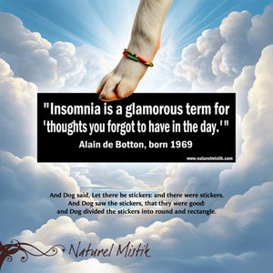 May include: A quote by Alain de Botton, born in 1969, about insomnia being a glamorous term for thoughts you forgot to have during the day. The quote is displayed on a black background with a white border. The background is a cloudy sky with a dog's paw reaching down from the clouds.