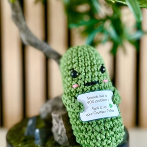 GRUMPY PICKLE witziges Geschenk Emotional Damage handmade in Germany