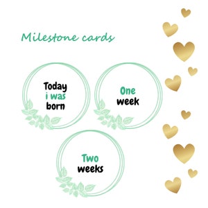 Cartes jalons, cartes jalons bébé, cartes jalons bébé, bébés première année, jalons mensuels