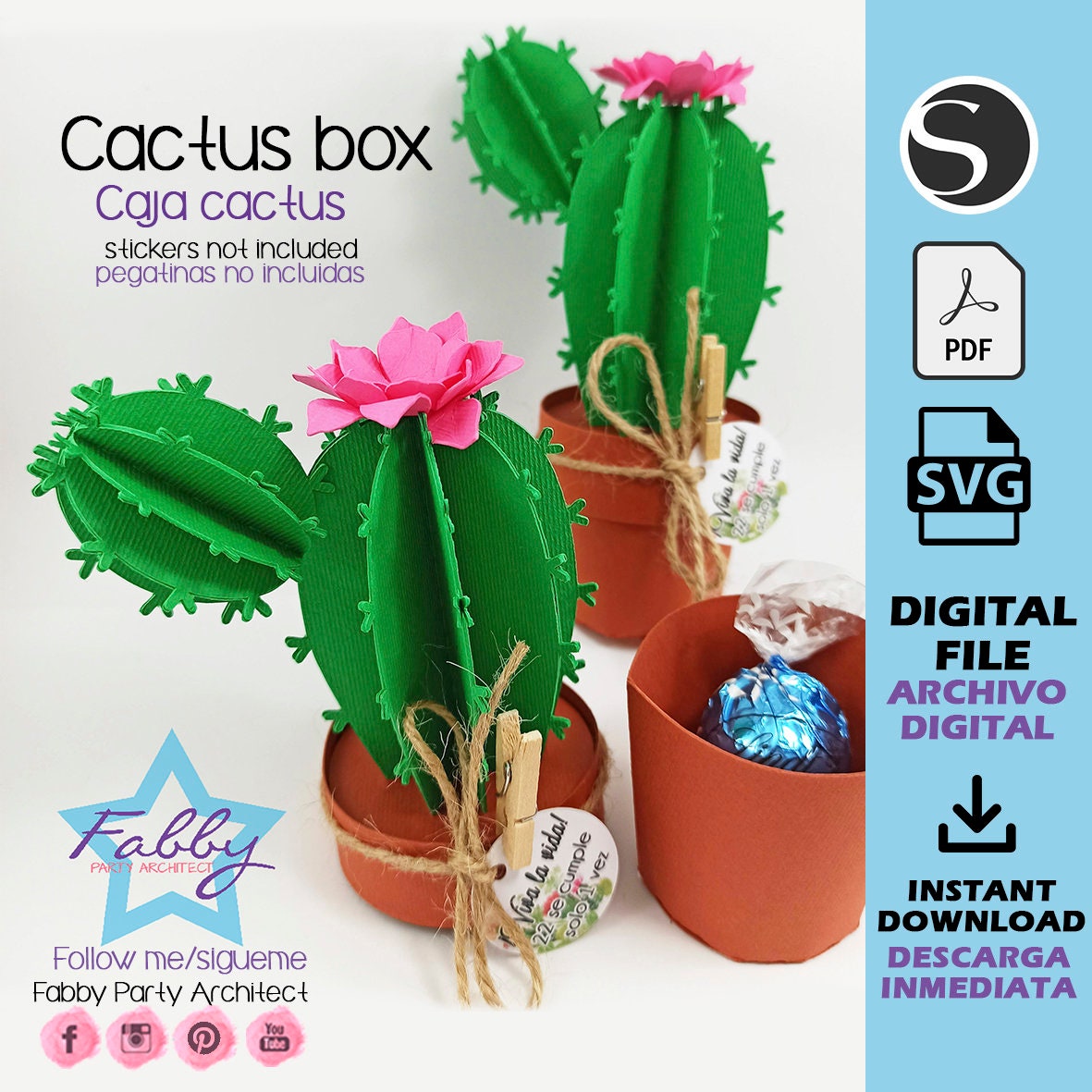 Kaktus gastgeschenk - Etsy.de
