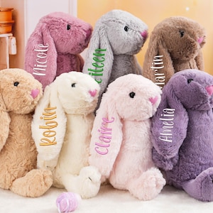 Personalized Plush Bunny Toy,Plush Bunny Rabbit,Stuffed animal,Nursery Decor,Gifts for kid,Newborn Baby Gift,Baby Shower Gift,Christmas Gift