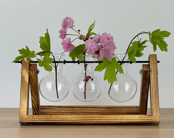 Hydrokultur Glas Pflanzer Vermehrung Dekoration Dekor Blumen Pflanze Gärtner Schreibtisch Büro Haus Geschenk