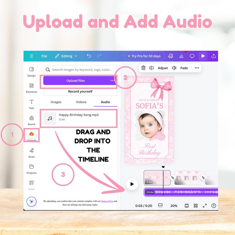 Pink Coquette Bow, Coquette Invitation, Coquette Birthday, Bow Invite First Birthday, Girl 1st Birthday, Animated Birthday, Video Invitation - Change font, size and color, add photo, edit text and upload audio