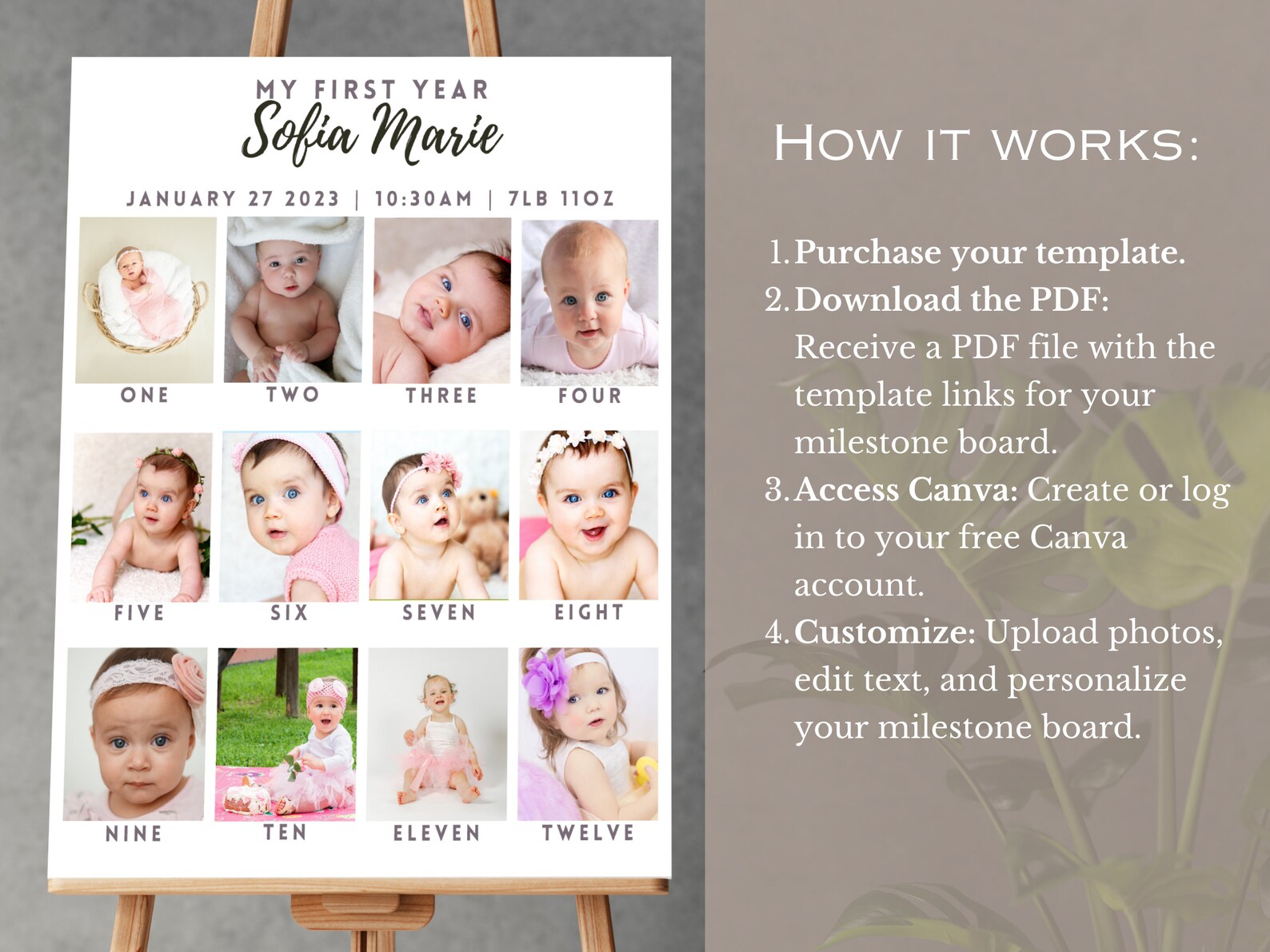 Editable 1st Birthday Milestone Sign, Printable Baby's First Year ...
