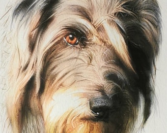 Portret aquarel hond kat