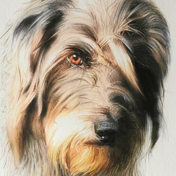 Portrait Aquarellmalerei Hund Katze