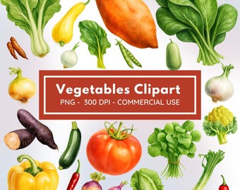Grönsaker Clipart Bundle | Akvarell grönsaks-PNG-set, tomat, paprika, lök, sallad, morot PNG, 300 DPI matillustration, kommersiellt bruk