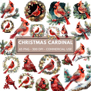 Weihnachten Rot Kardinal Vögel Clipart Bundle, Aquarell Clipart Bundle, Winter Clipart, transparenter Hintergrund PNG, sofortiger Download