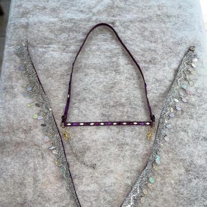 Puede incluir: Una brida de caballo morada y plateada con adornos plateados decorativos y detalles iridiscentes. La brida presenta una cabezada morada y una testera a juego. El adorno decorativo está hecho de tela plateada con pequeñas lentejuelas iridiscentes colgantes.