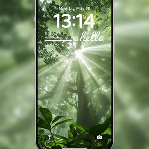 森の日光 4K UHD 携帯電話の壁紙 - iPhone Android 向け自然緑 - 神秘的な魔法