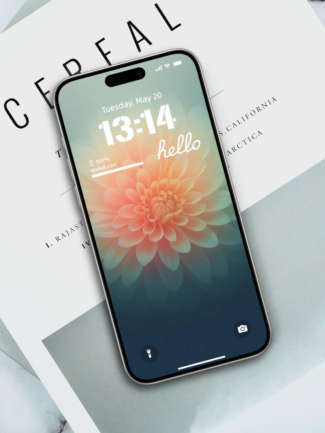 Elegant Floral iPhone Wallpaper | Minimalist Flower (digital Download
