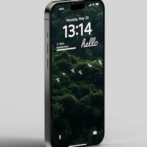 Birds in the Forest 4K Phone Wallpaper - Serene Nature Scene for iPhone  Android
