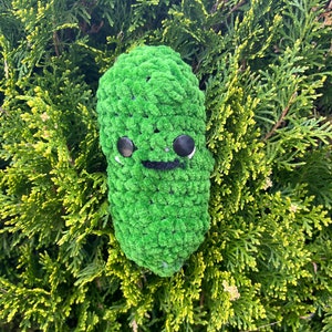 Handmade Crochet pickle