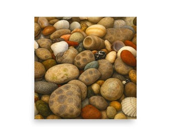 Pôster de Petoskey Stones
