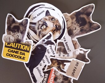 Sticker custom con i tuoi animali!