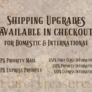 Op de afbeelding: Een vintage-stijl achtergrond met tekst in een decoratief lettertype. De tekst luidt: "VERZENDUPGRADES BESCHIKBAAR IN CHECKOUT VOOR BINNENLAND & INTERNATIONAAL." USPS verzendopties: Priority Mail, Express Priority, First Class International, Priority International en Express International.