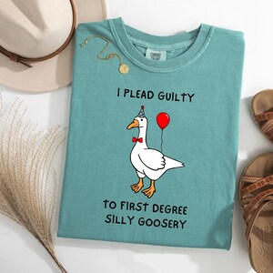 First Degree Silly Goosery, Silly Goose Shirt, Sarcastic Shirts, Comfort Color, Trendy Shirts, Funny Gift For Friend, Gift For, Fun Shirts