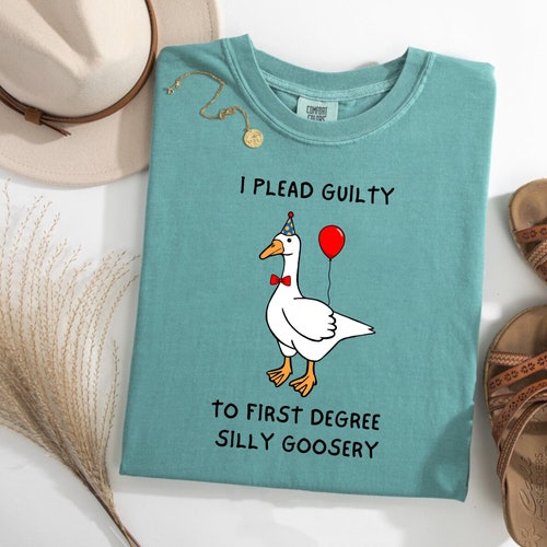 First Degree Silly Goosery, shirt Silly Goose, sarcastische shirts, comfortabele kleur, trendy shirts, grappig cadeau voor vriend, cadeau voor, leuke shirts