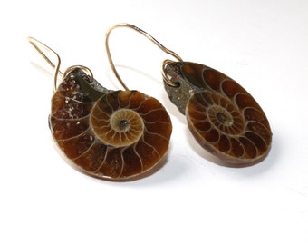 Ammonite fossil earrings