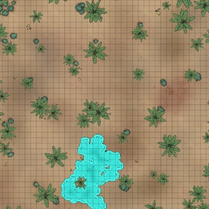 Palm Tree Oasis Battle Map, D&D Battle Map, Dungeons and Dragons, DnD Battle Map, 5e, Roll20, Fantasy Grounds, Foundry, VTT, digitale kaarten