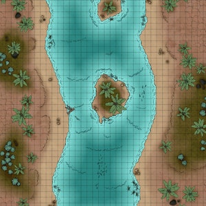 Tropical River Battle Map, D&D Battle Map, Dungeons and Dragons, DnD Battle Map, 5e, Roll20, Fantasy Grounds, Foundry, VTT, Digitale kaarten