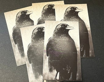 Crow Photography Gift Enclosure Cards - Set of 6
