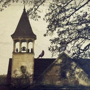 Crow Photography Cards - Corvid Note Card Set image 5