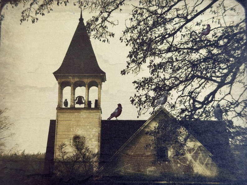 Crow Photography Cards - Corvid Note Card Set image 5