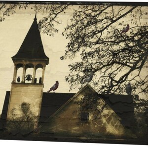 Crow Photography Cards - Corvid Note Card Set image 9
