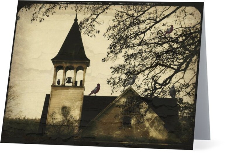 Crow Photography Cards - Corvid Note Card Set image 9