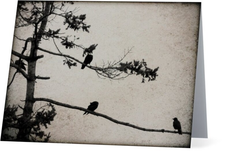 Crow Photography Cards - Corvid Note Card Set image 10